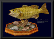 Smallmouth Bass Replica - 7lbs.