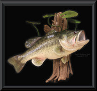 Largemouth Bass Mount